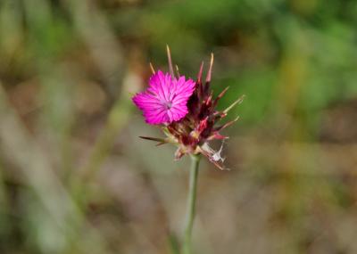 Прикрепленное изображение: zb16.jpg